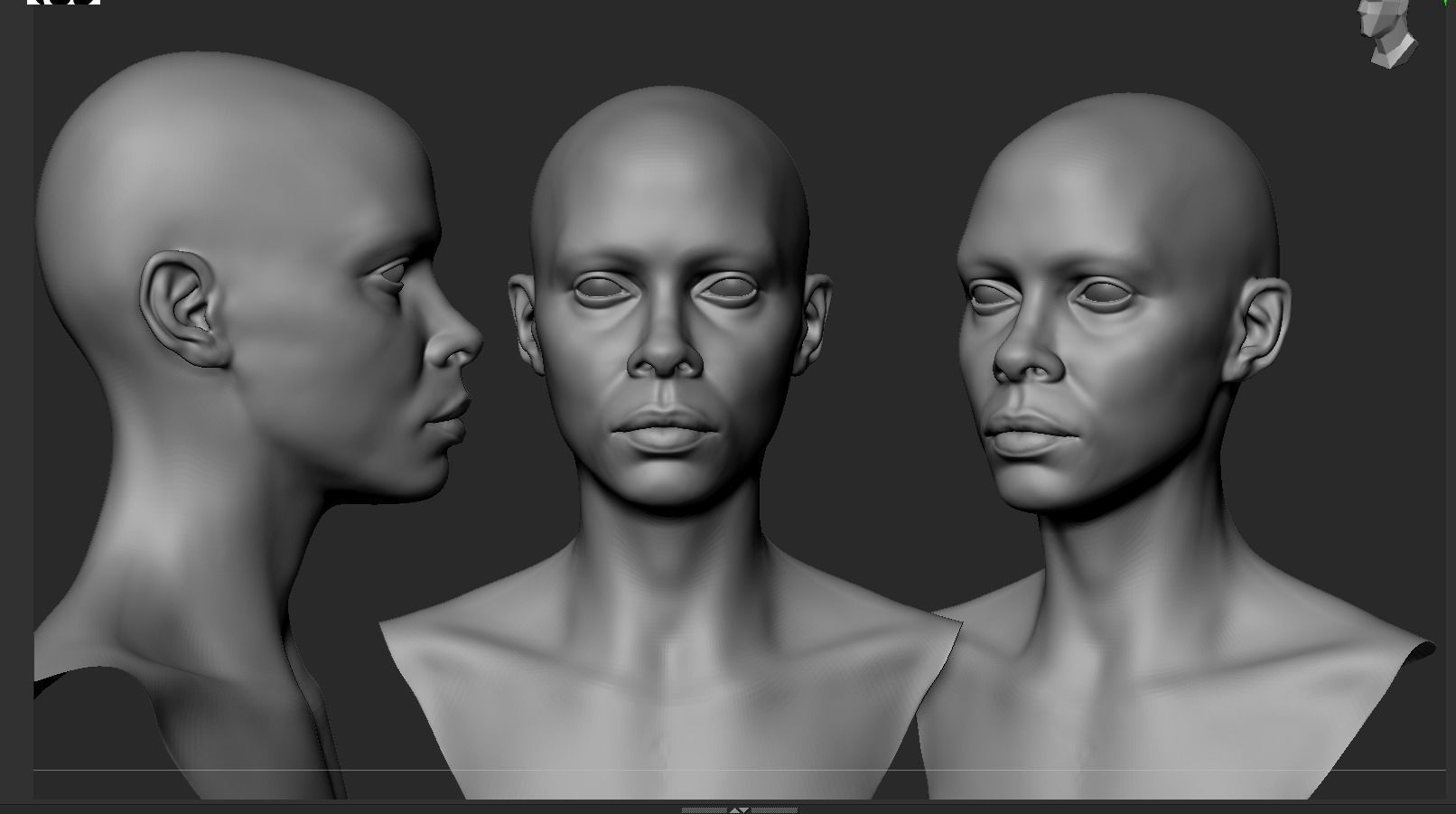 Black Female Head Anatomy- Basemesh 3D model_1