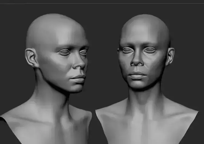 Black Female Head Anatomy- Basemesh 3D model