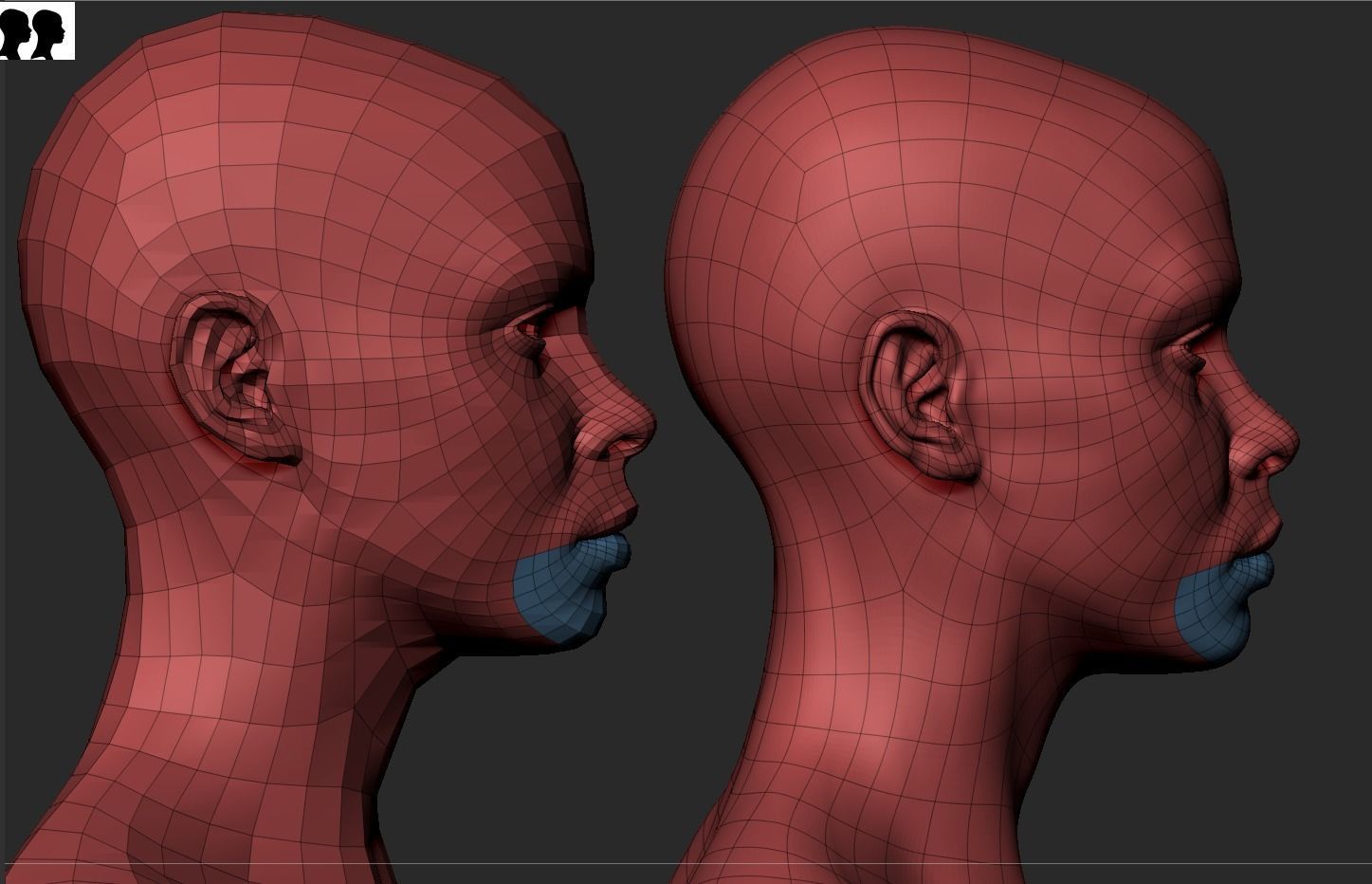 Black Female Head Anatomy- Basemesh 3D model_15