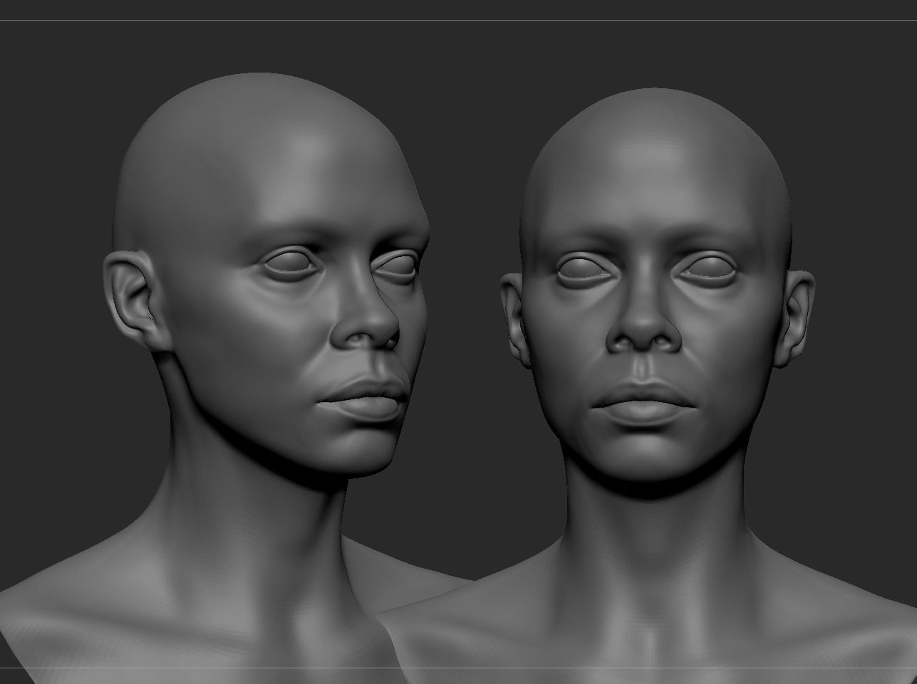 Black Female Head Anatomy- Basemesh 3D model_3