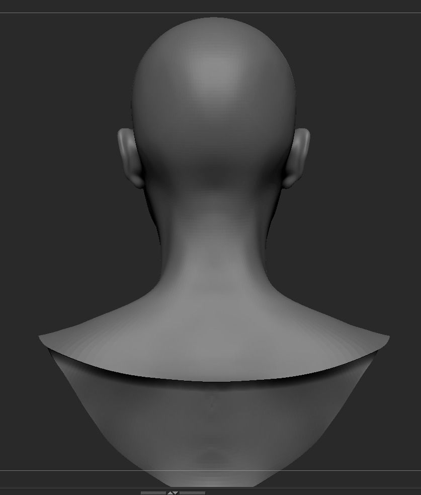 Black Female Head Anatomy- Basemesh 3D model_8