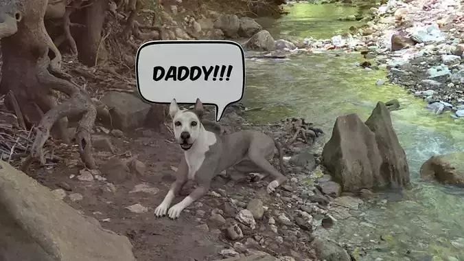 CHAT-001  Chat Bubble