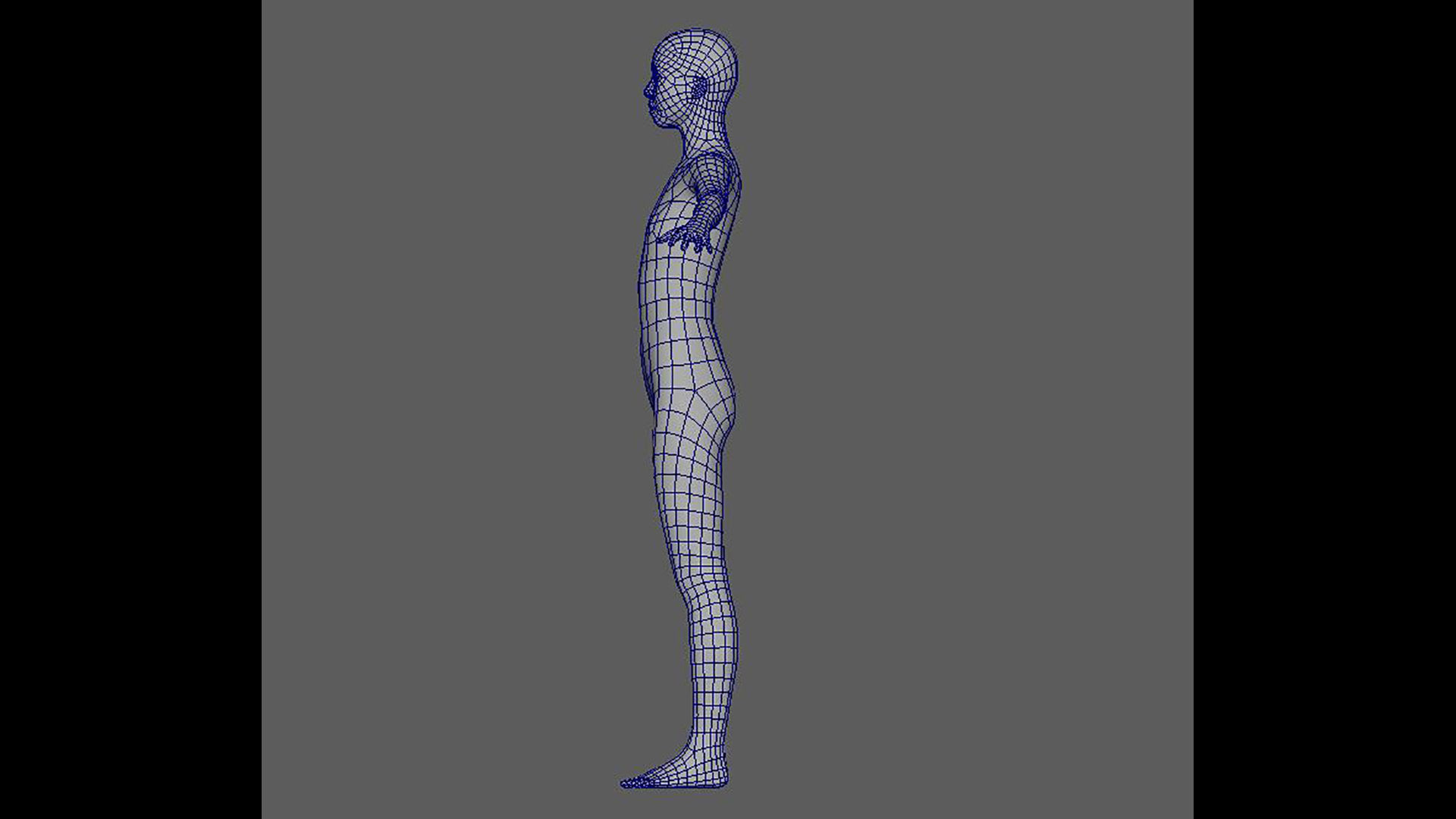 basemesh 3D data 3D model_2