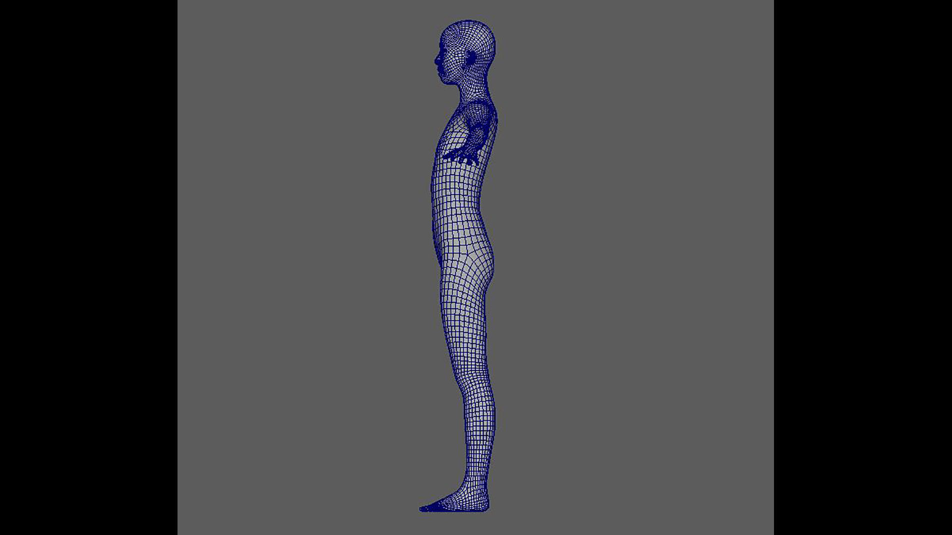 basemesh 3D data 3D model_6