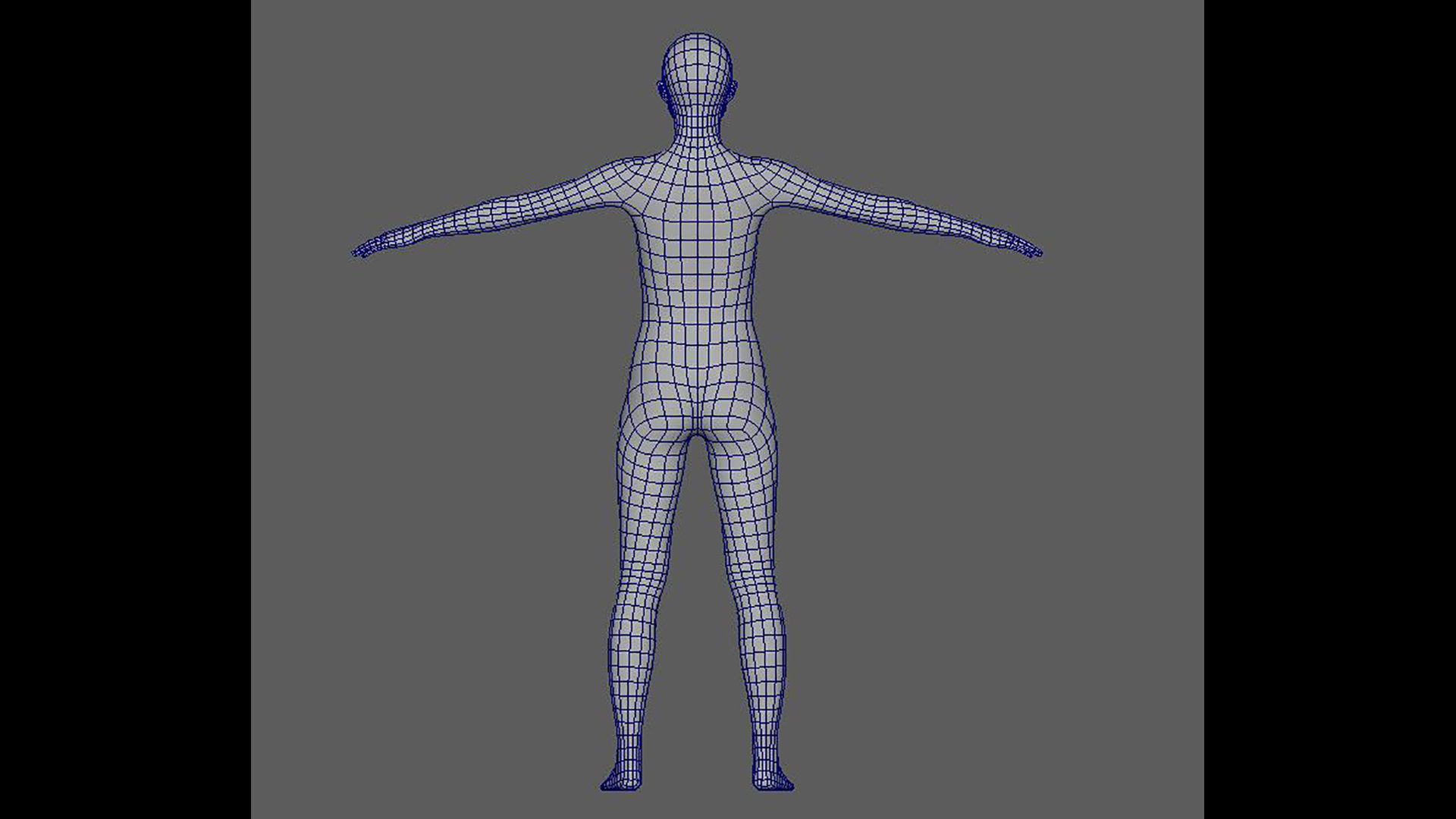 basemesh 3D data 3D model_3
