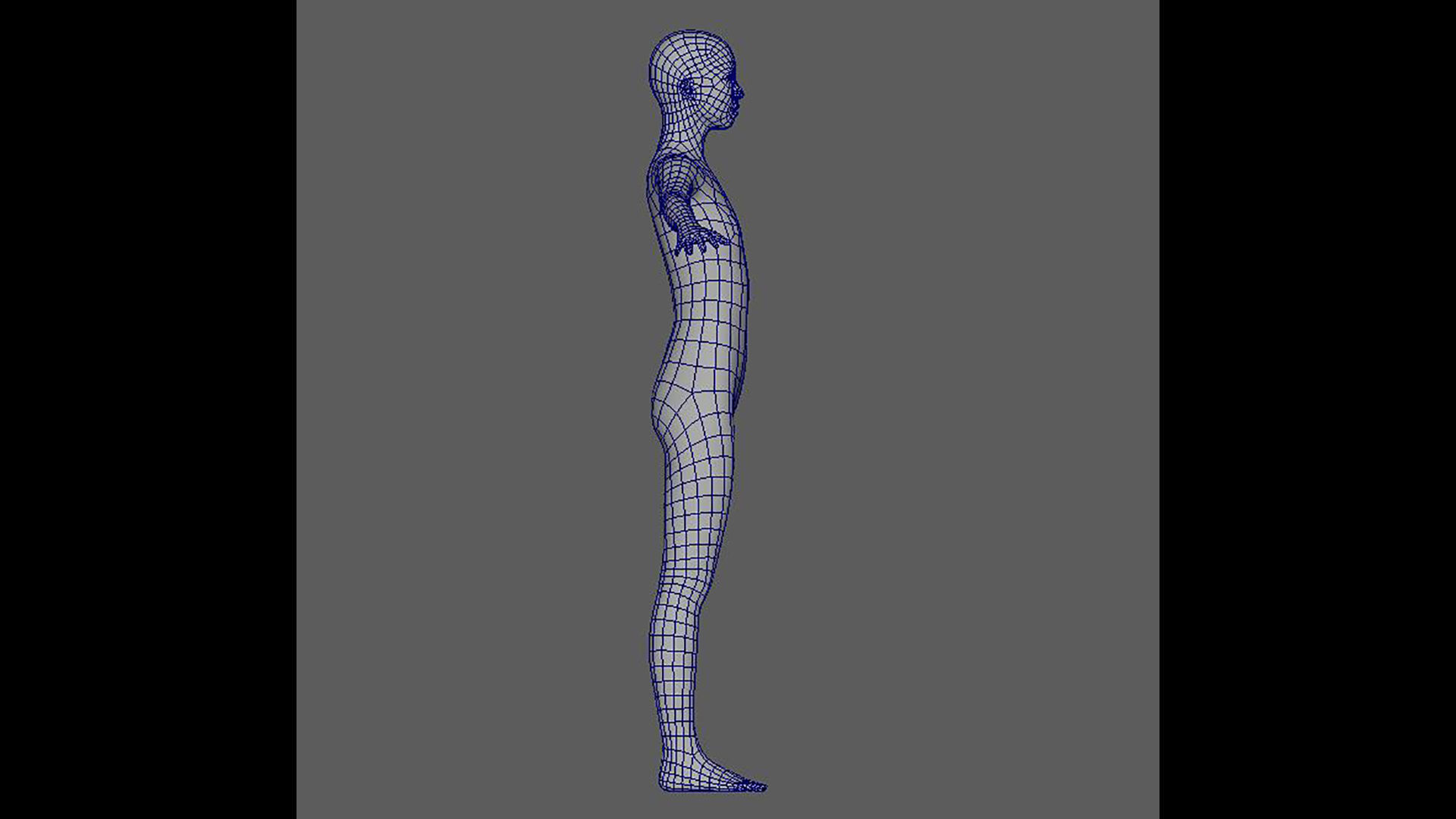 basemesh 3D data 3D model_1
