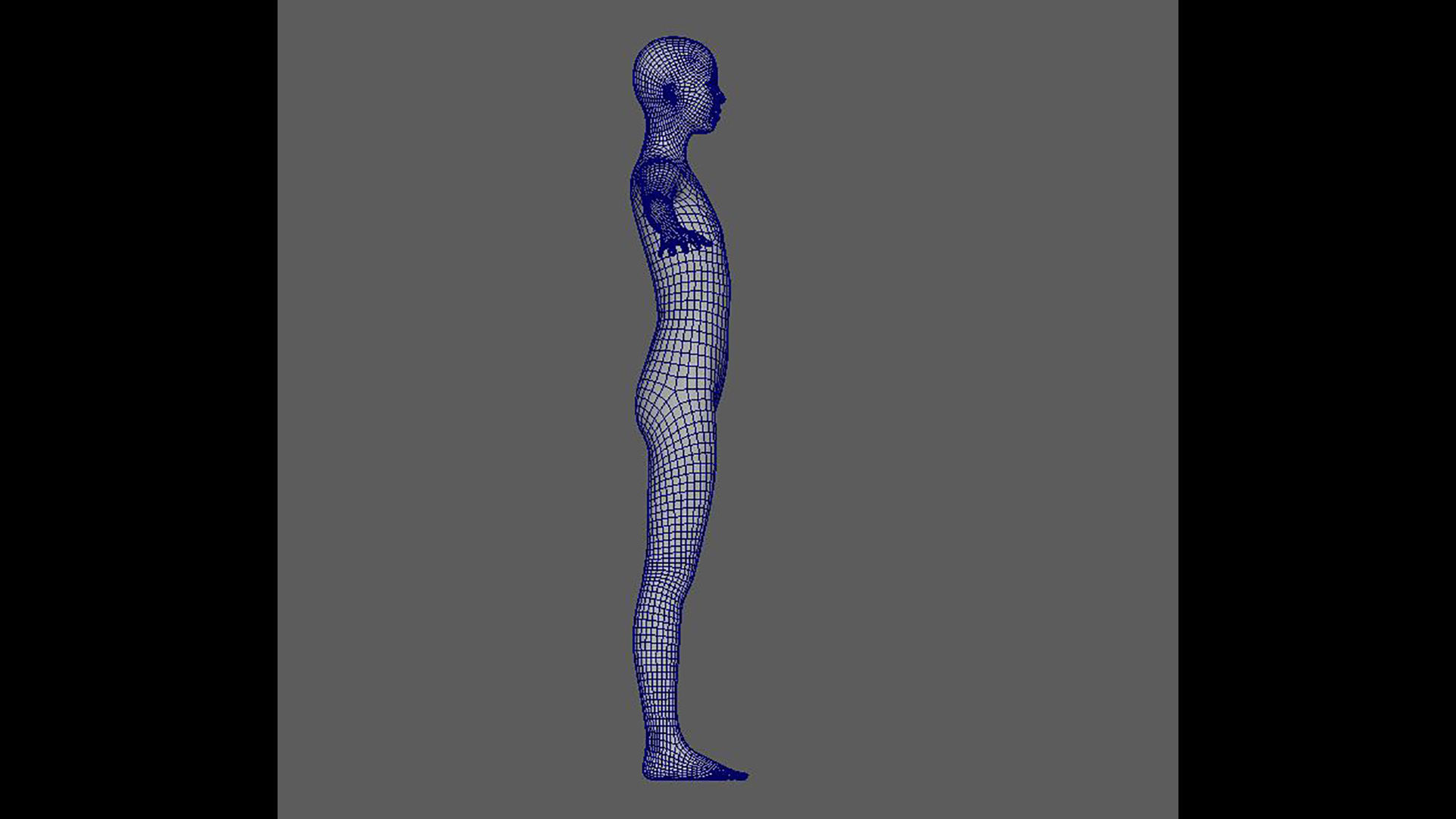 basemesh 3D data 3D model_5