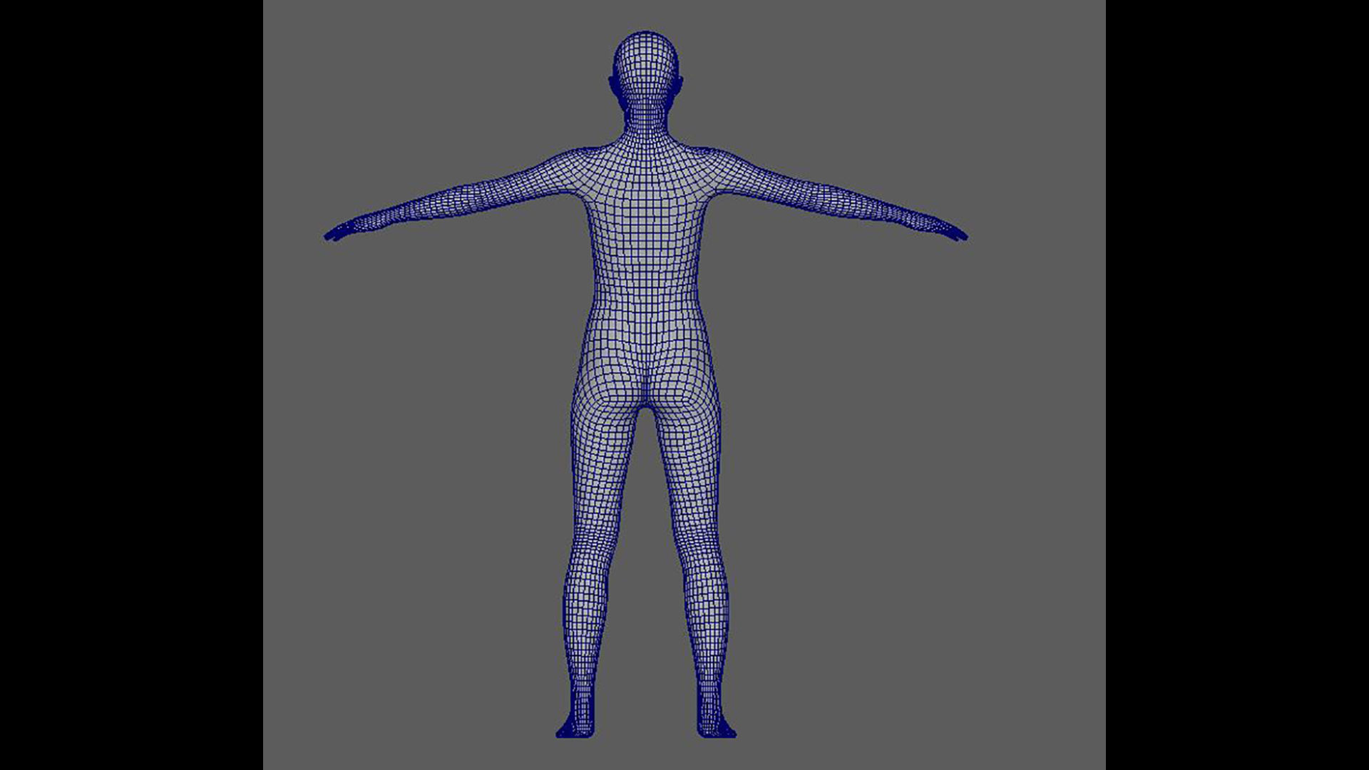 basemesh 3D data 3D model_7