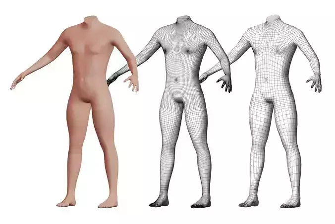 Character 43 High and Low-poly -  Body male