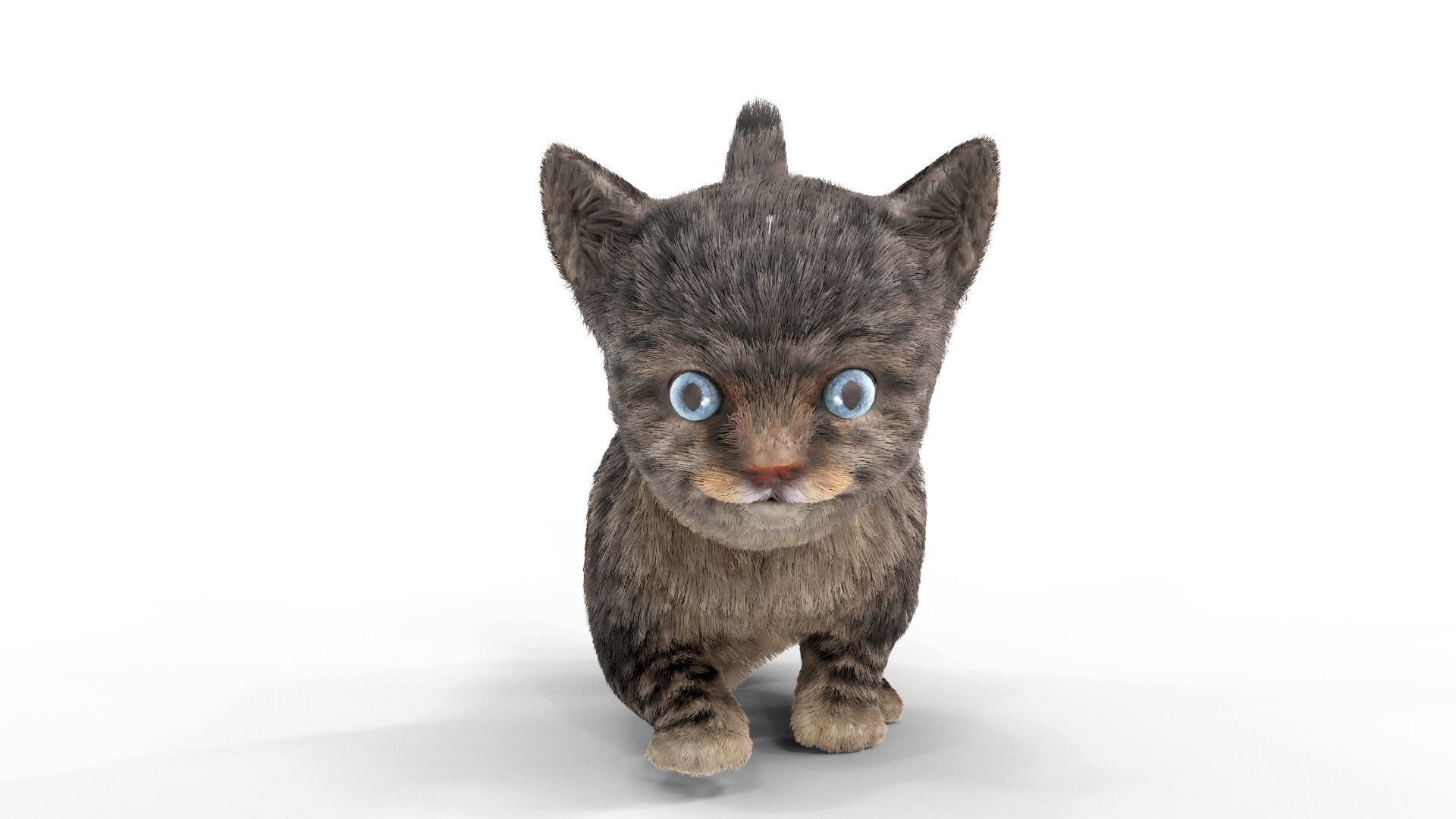 Fur Cute Cat kitten Dark Gray Animated Low-poly 3D model_5