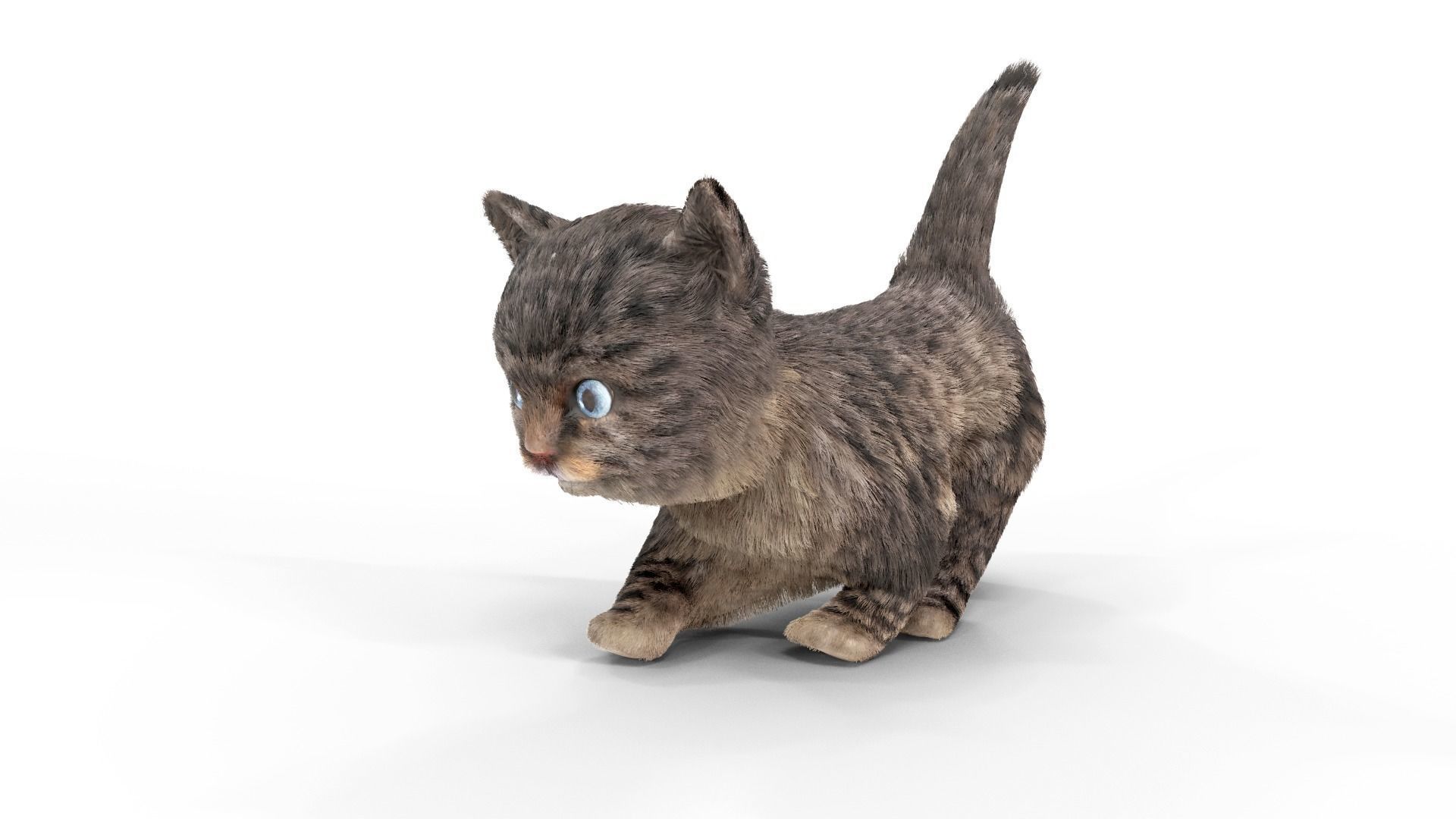 Fur Cute Cat kitten Dark Gray Animated Low-poly 3D model_6