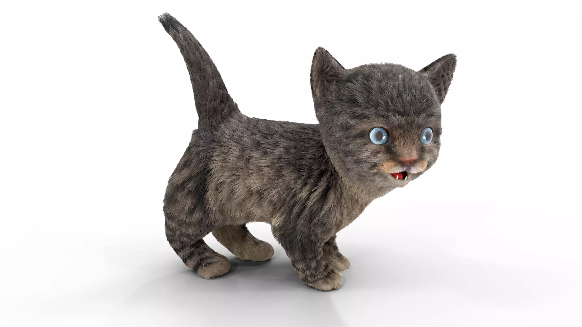 Fur Cute Cat kitten Dark Gray Animated Low-poly 3D model_0