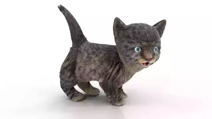 Fur Cute Cat kitten Dark Gray Animated Low-poly 3D model
