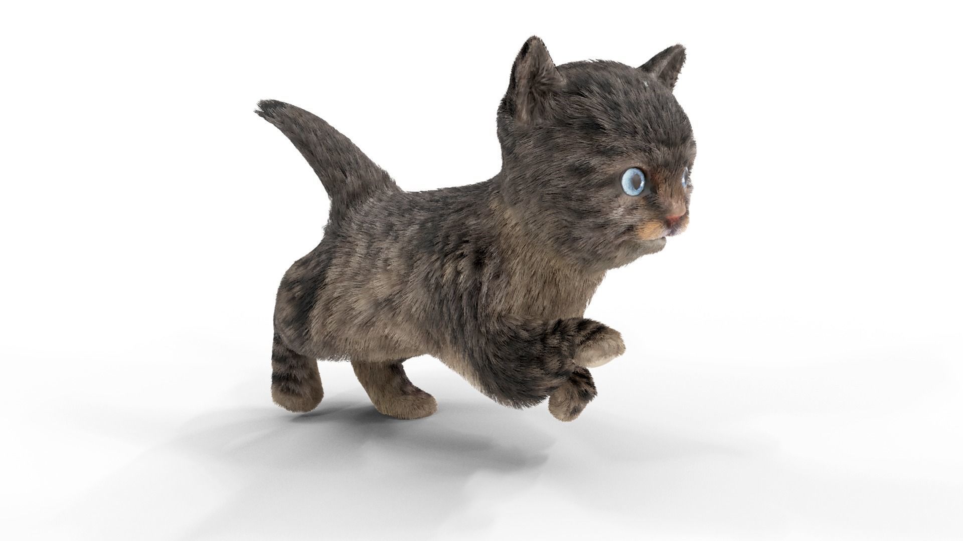 Fur Cute Cat kitten Dark Gray Animated Low-poly 3D model_7