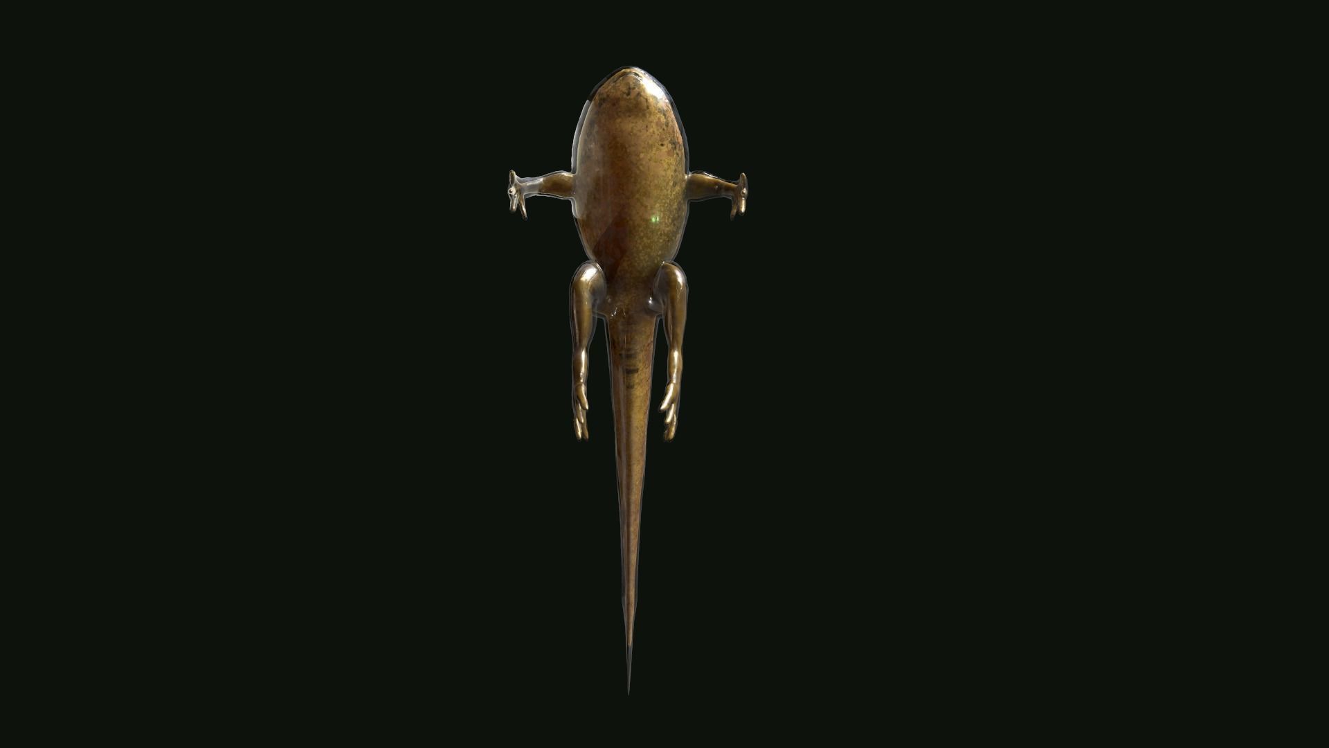 Edible Frog Tadpole Low-poly 3D model_11
