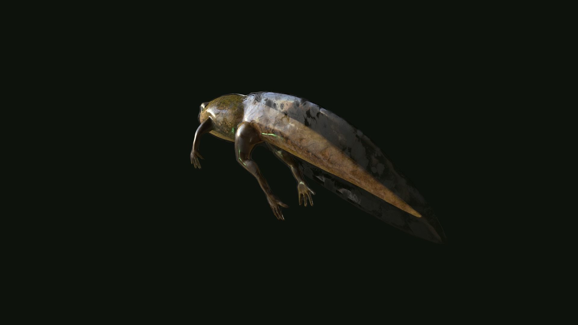 Edible Frog Tadpole Low-poly 3D model_3