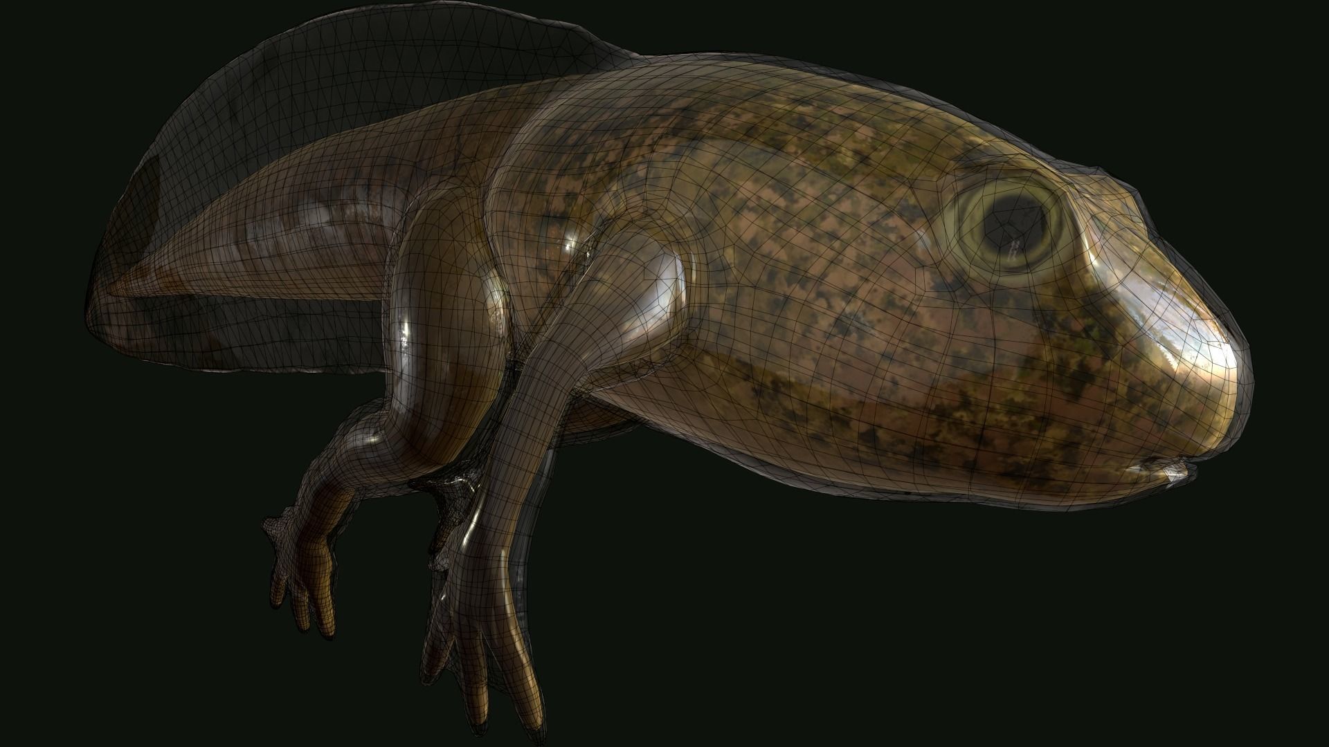 Edible Frog Tadpole Low-poly 3D model_4