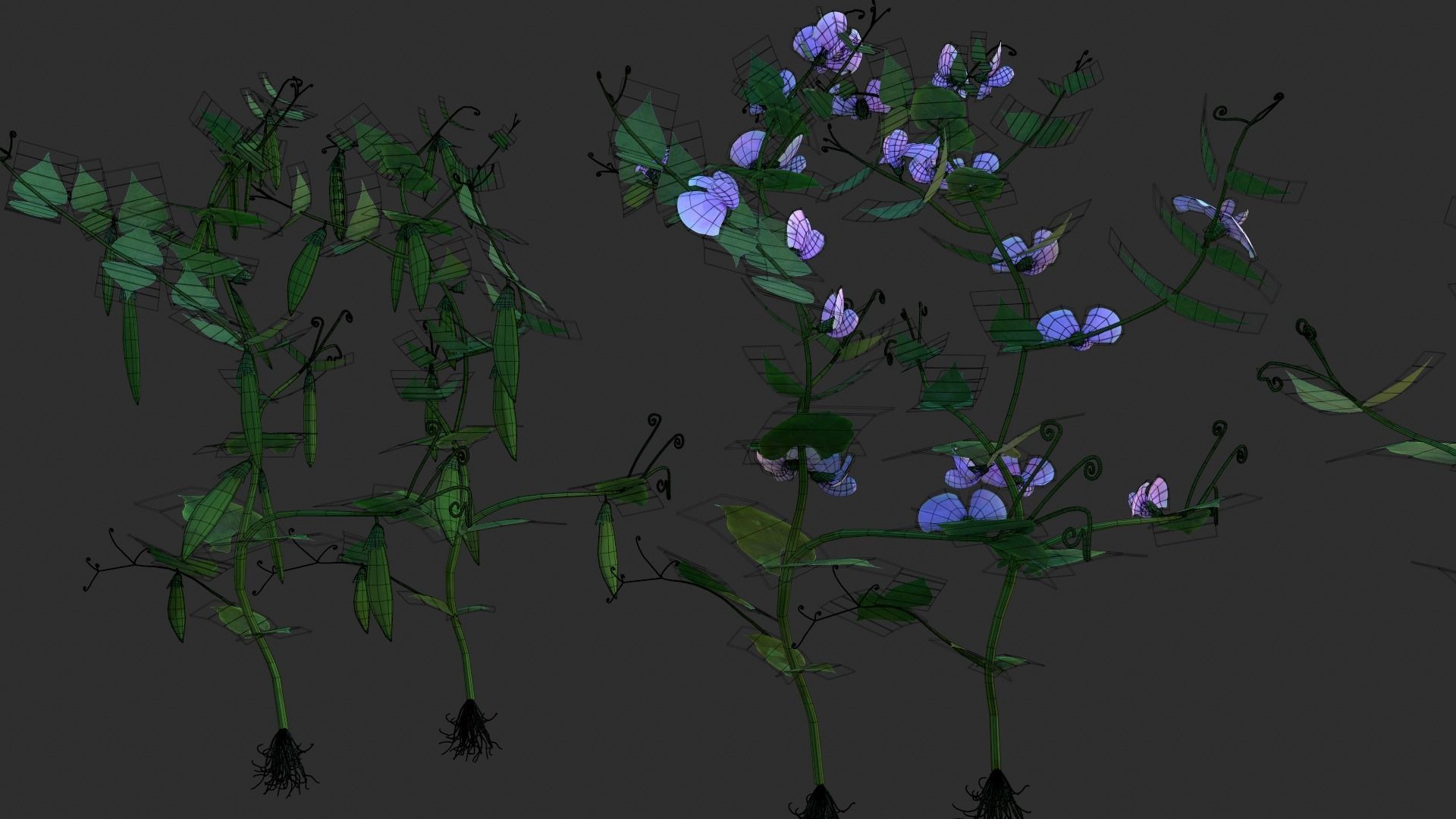 Bean Lifecycle Low-poly 3D model_2