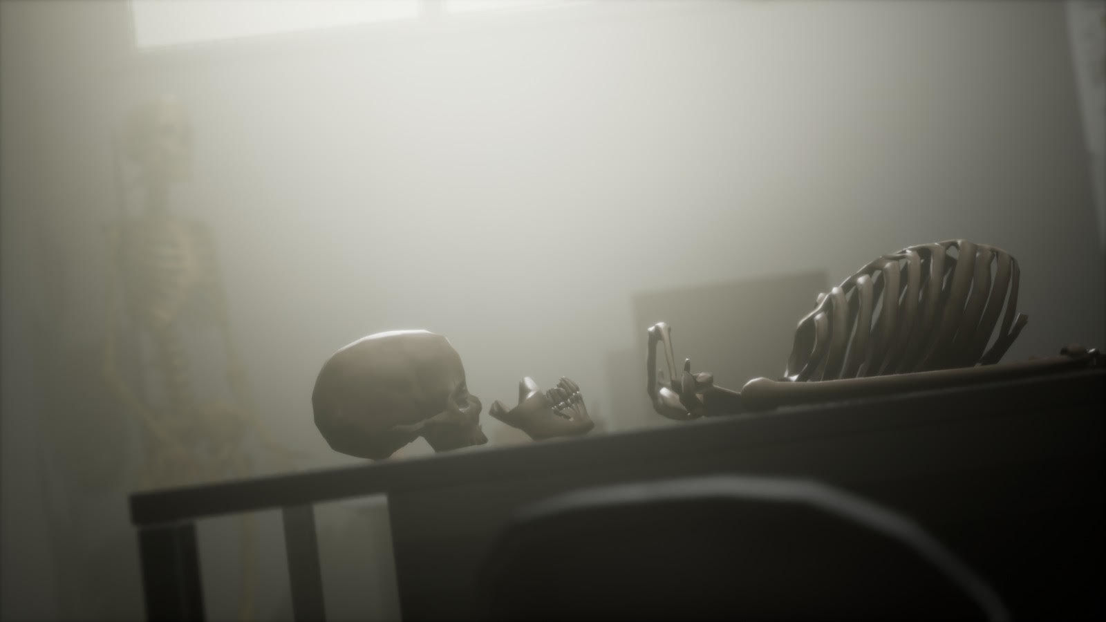 Anthropologist - Lab Pack Low-poly 3D model_18