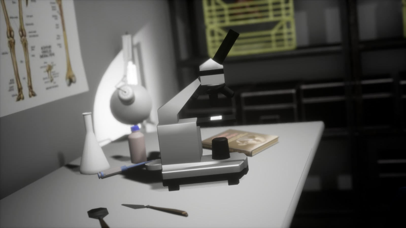 Anthropologist - Lab Pack Low-poly 3D model_12