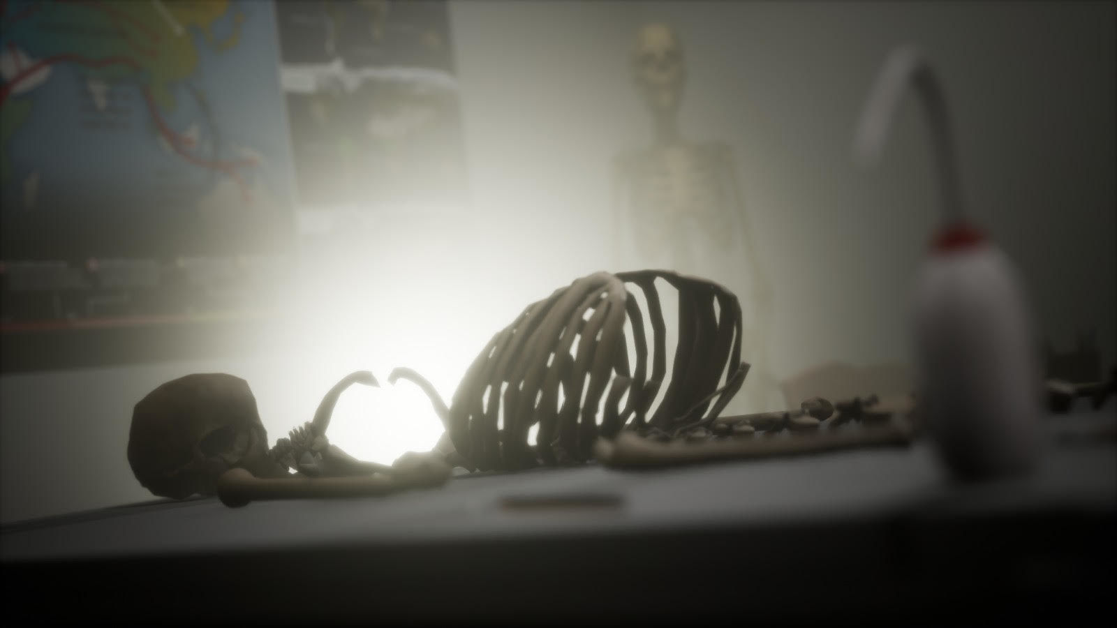 Anthropologist - Lab Pack Low-poly 3D model_16