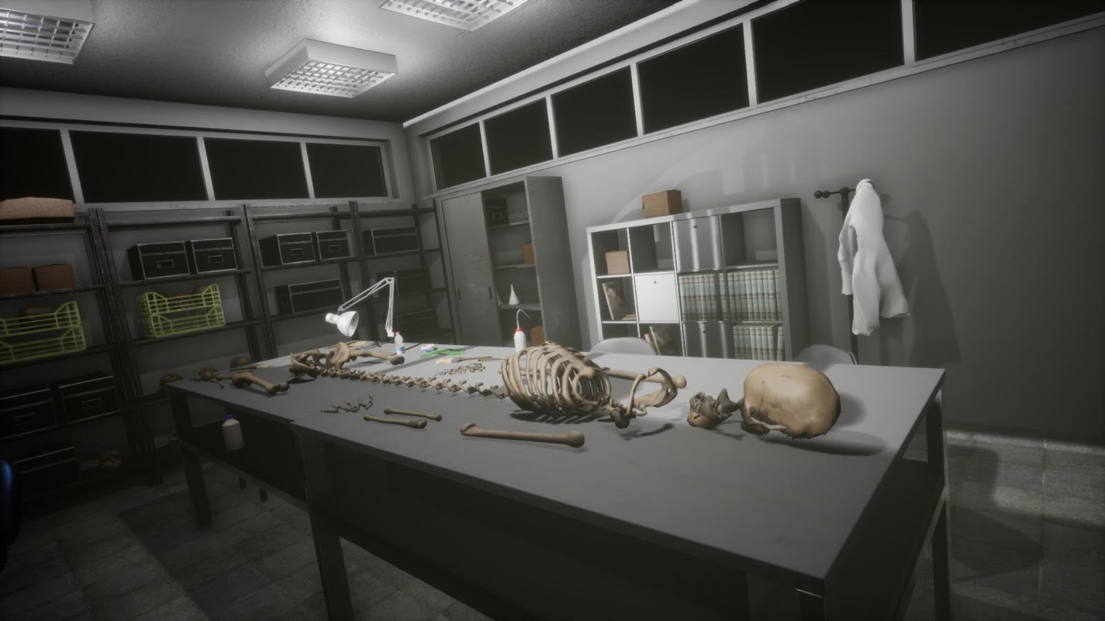 Anthropologist - Lab Pack Low-poly 3D model_21