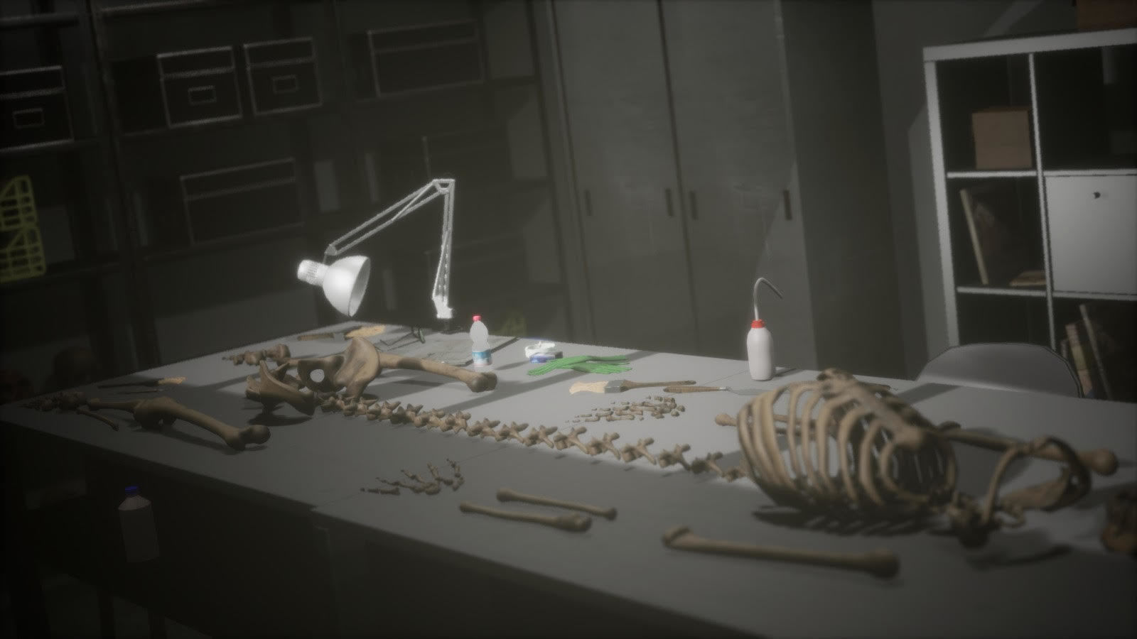 Anthropologist - Lab Pack Low-poly 3D model_23