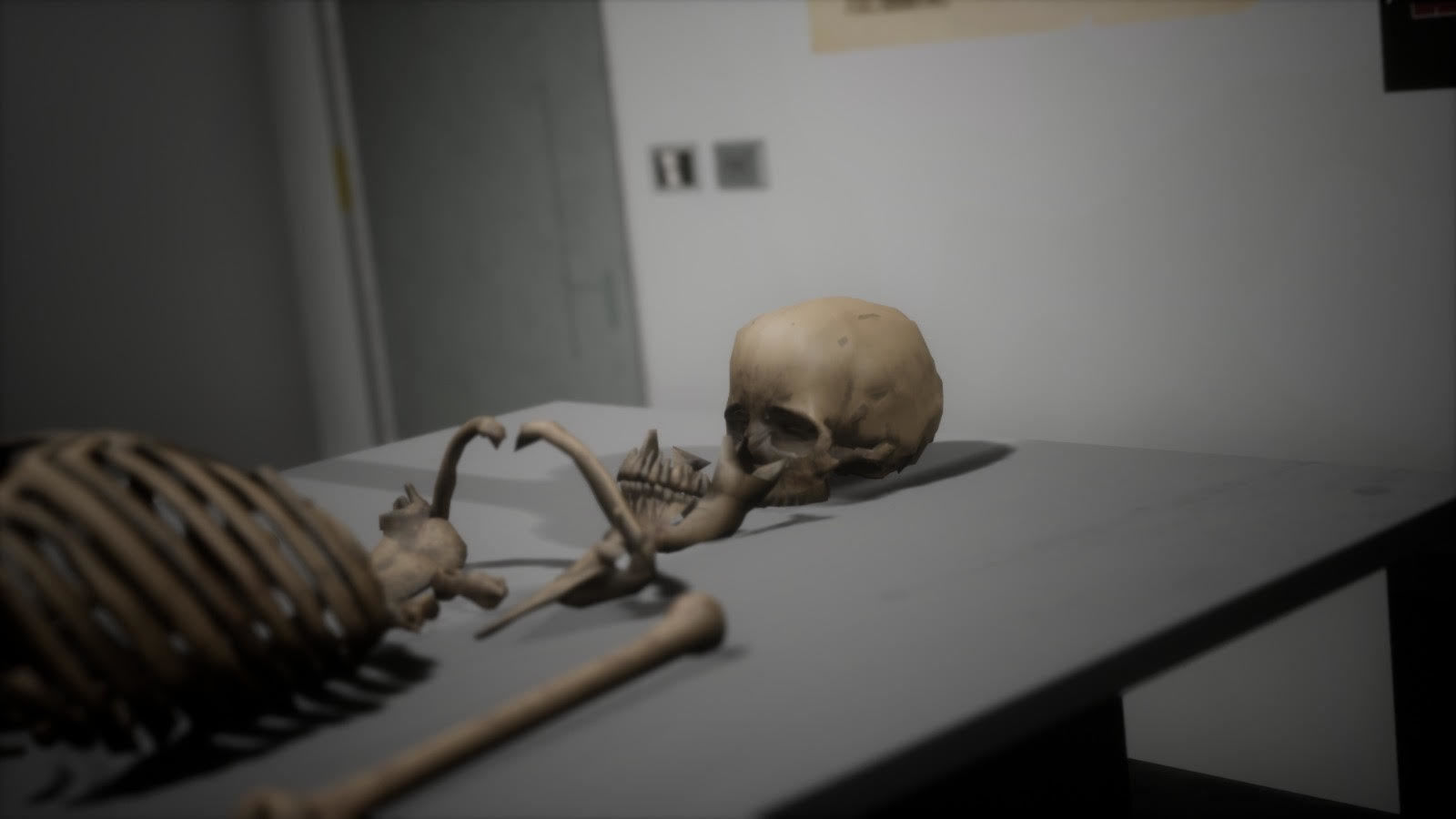 Anthropologist - Lab Pack Low-poly 3D model_11