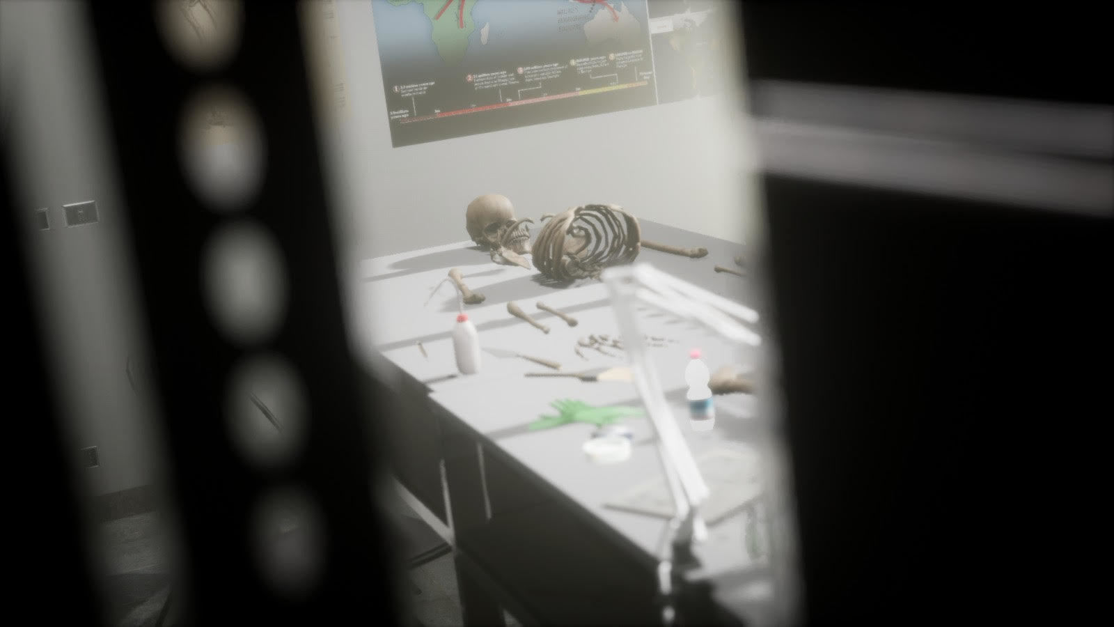 Anthropologist - Lab Pack Low-poly 3D model_24