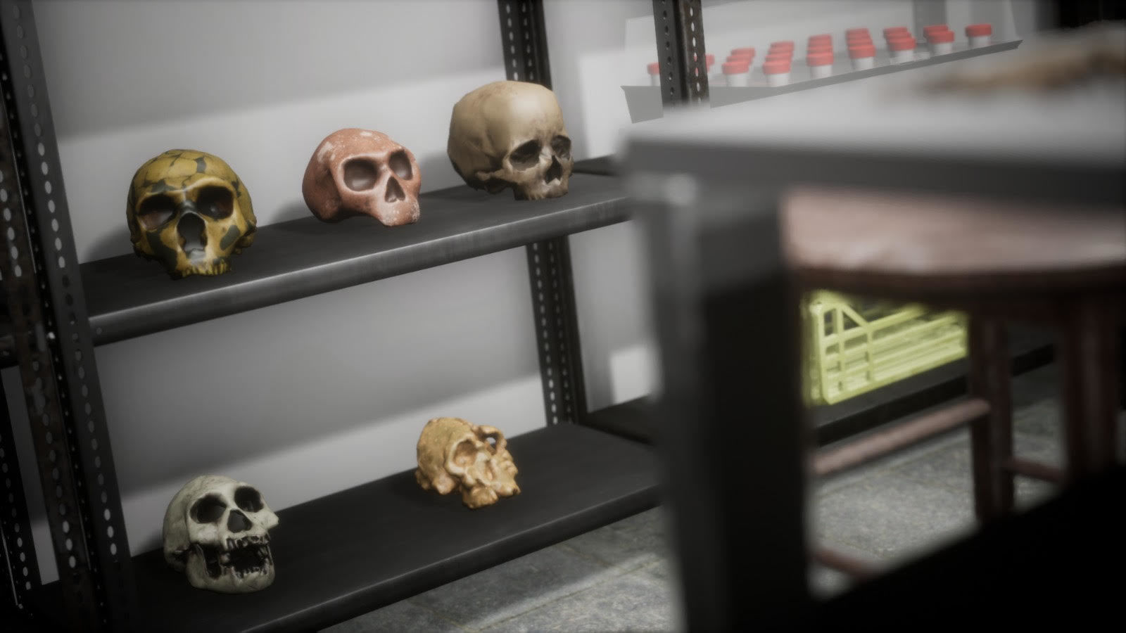 Anthropologist - Lab Pack Low-poly 3D model_13