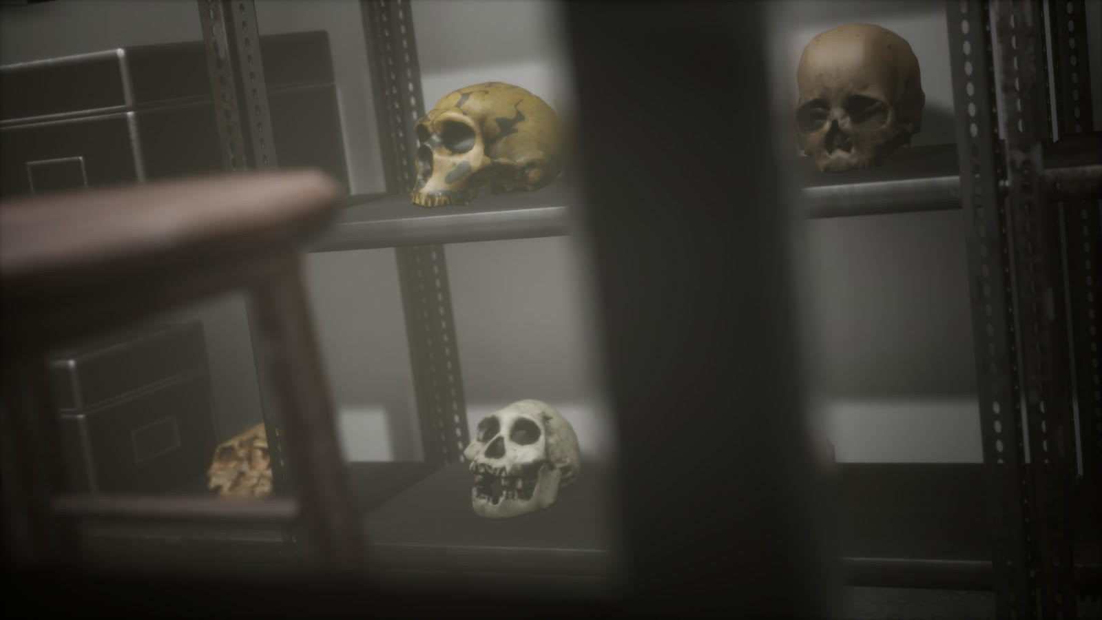 Anthropologist - Lab Pack Low-poly 3D model_20