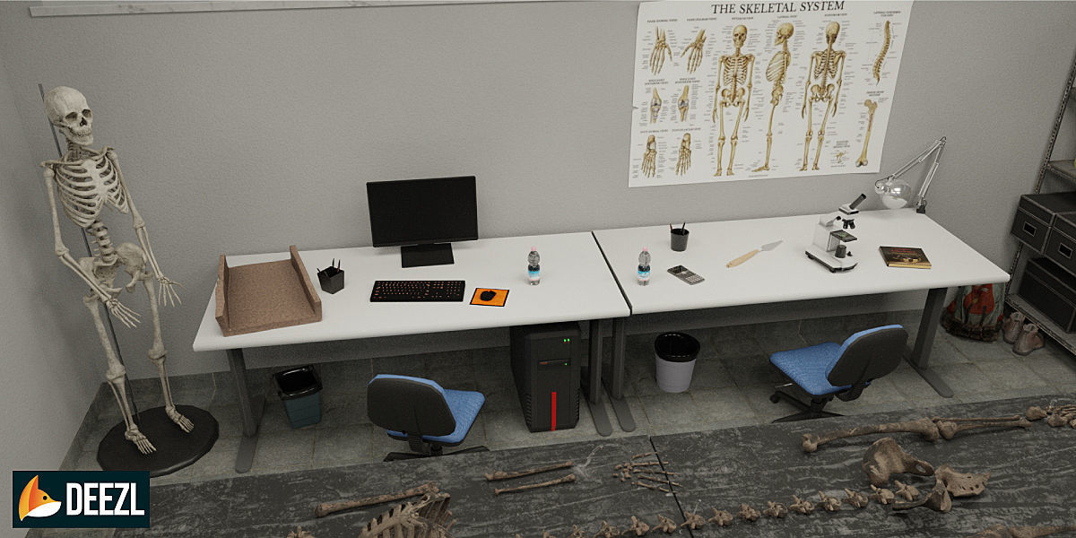 Anthropologist - Lab Pack Low-poly 3D model_4