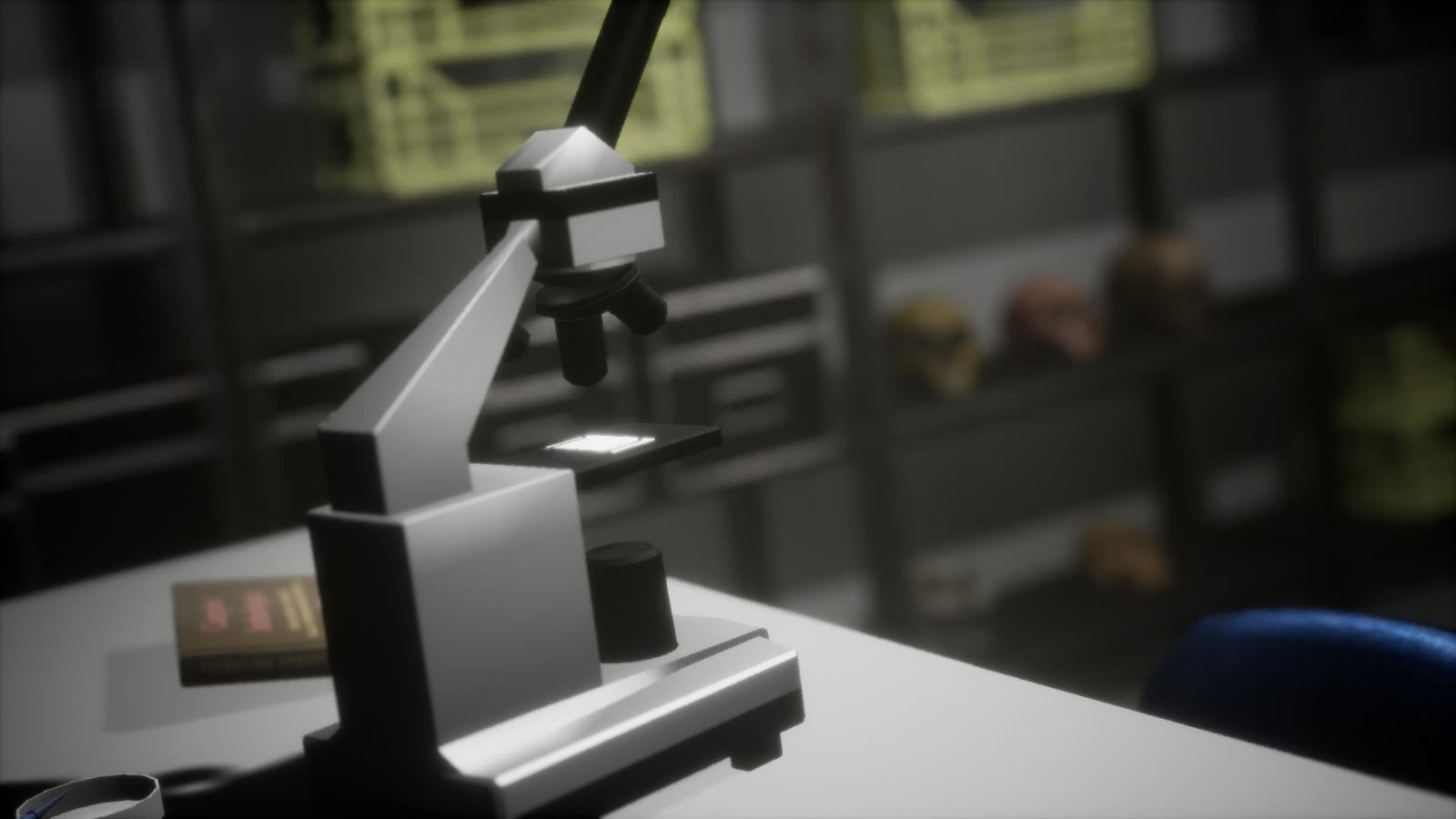 Anthropologist - Lab Pack Low-poly 3D model_22