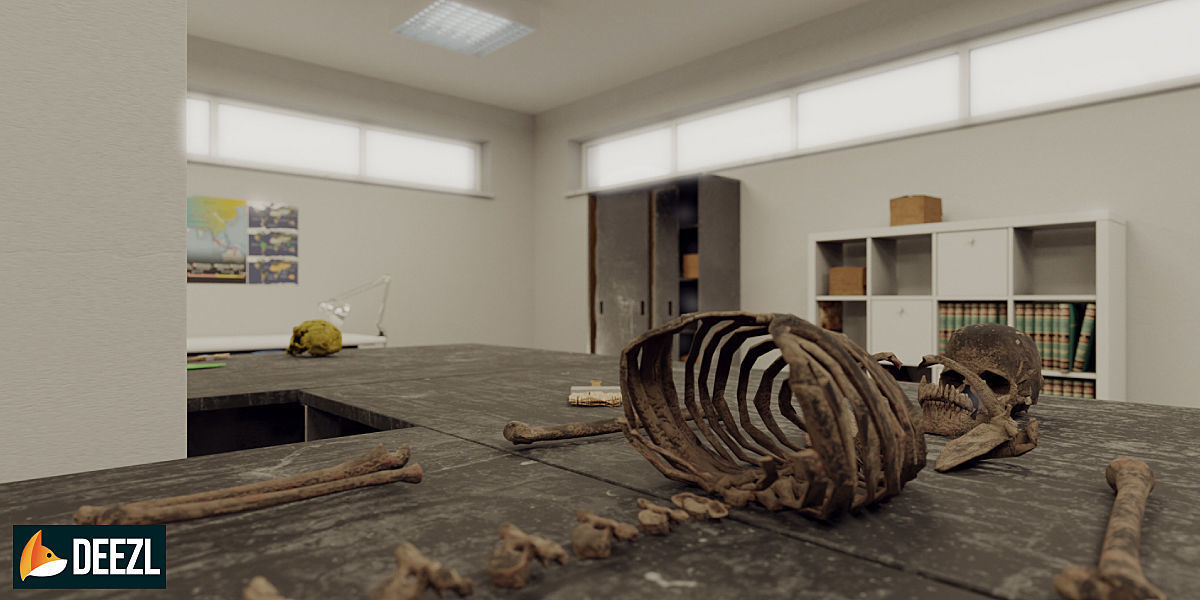 Anthropologist - Lab Pack Low-poly 3D model_5