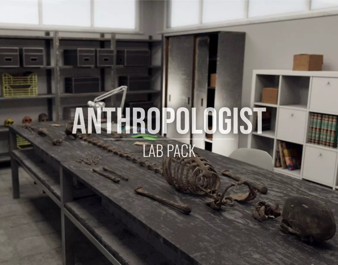 Anthropologist - Lab Pack Low-poly 3D model_0