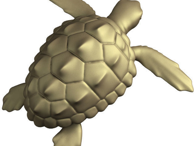 Loggerhead Sea Turtle poseable 3D model_2