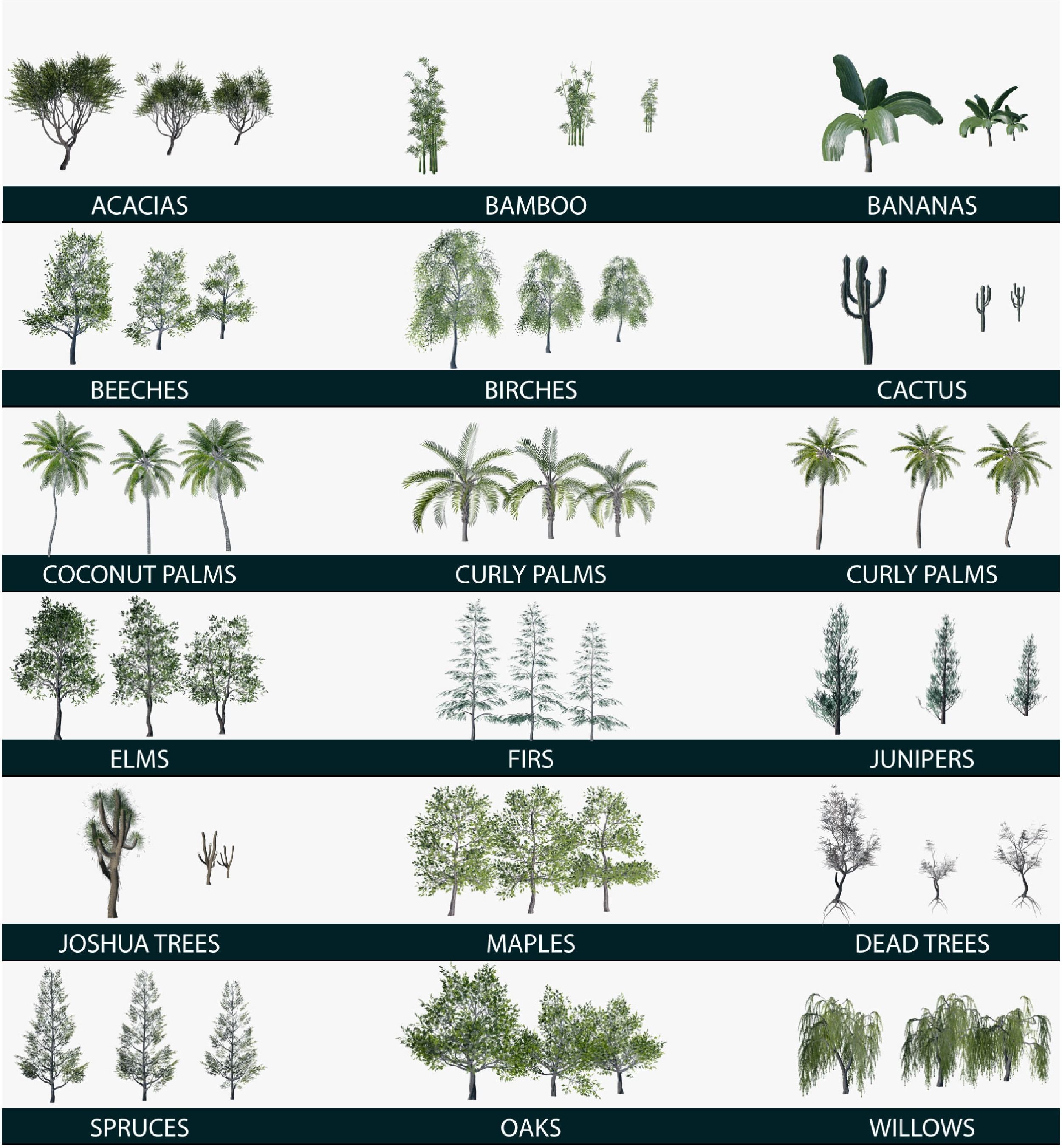 Shizen - Tree Generator 3D model_3