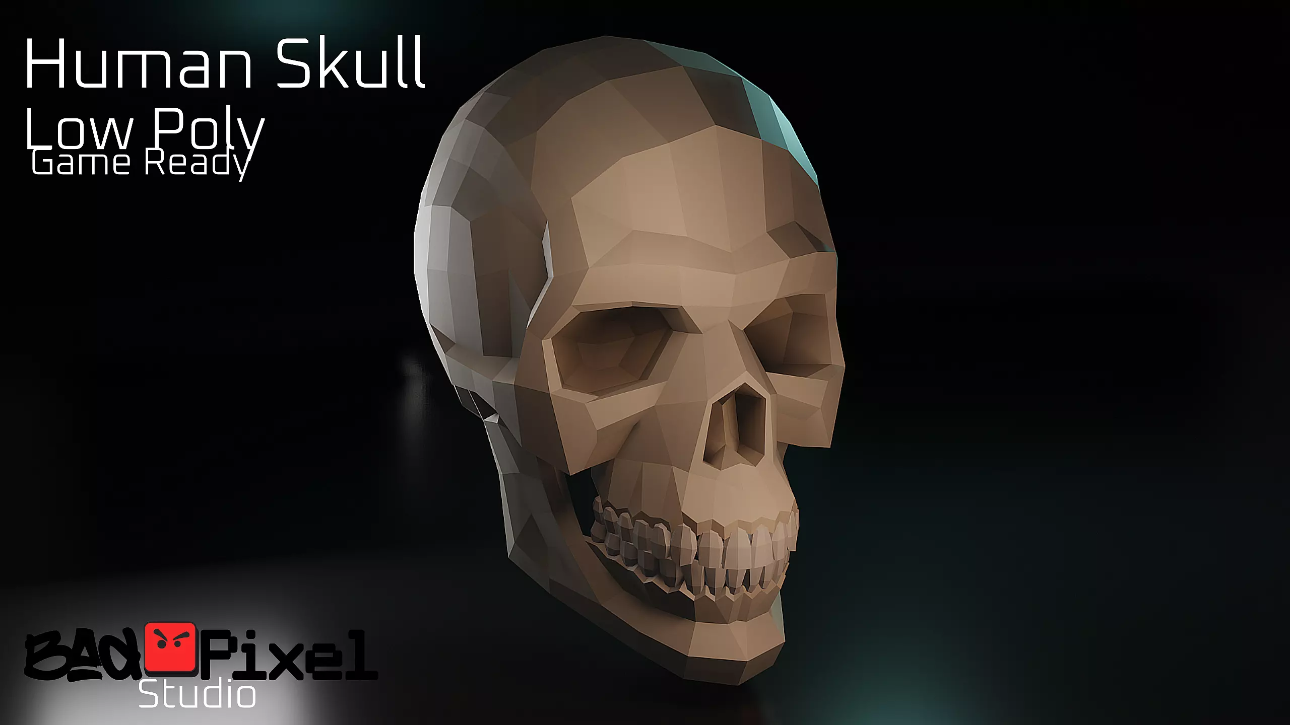 Human Skull Low-poly 3D model_0