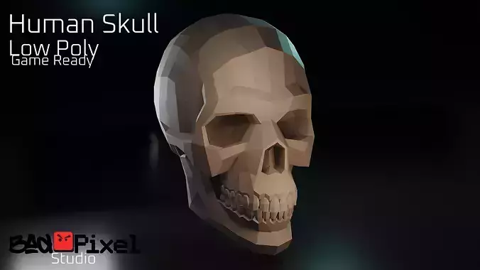 Human Skull