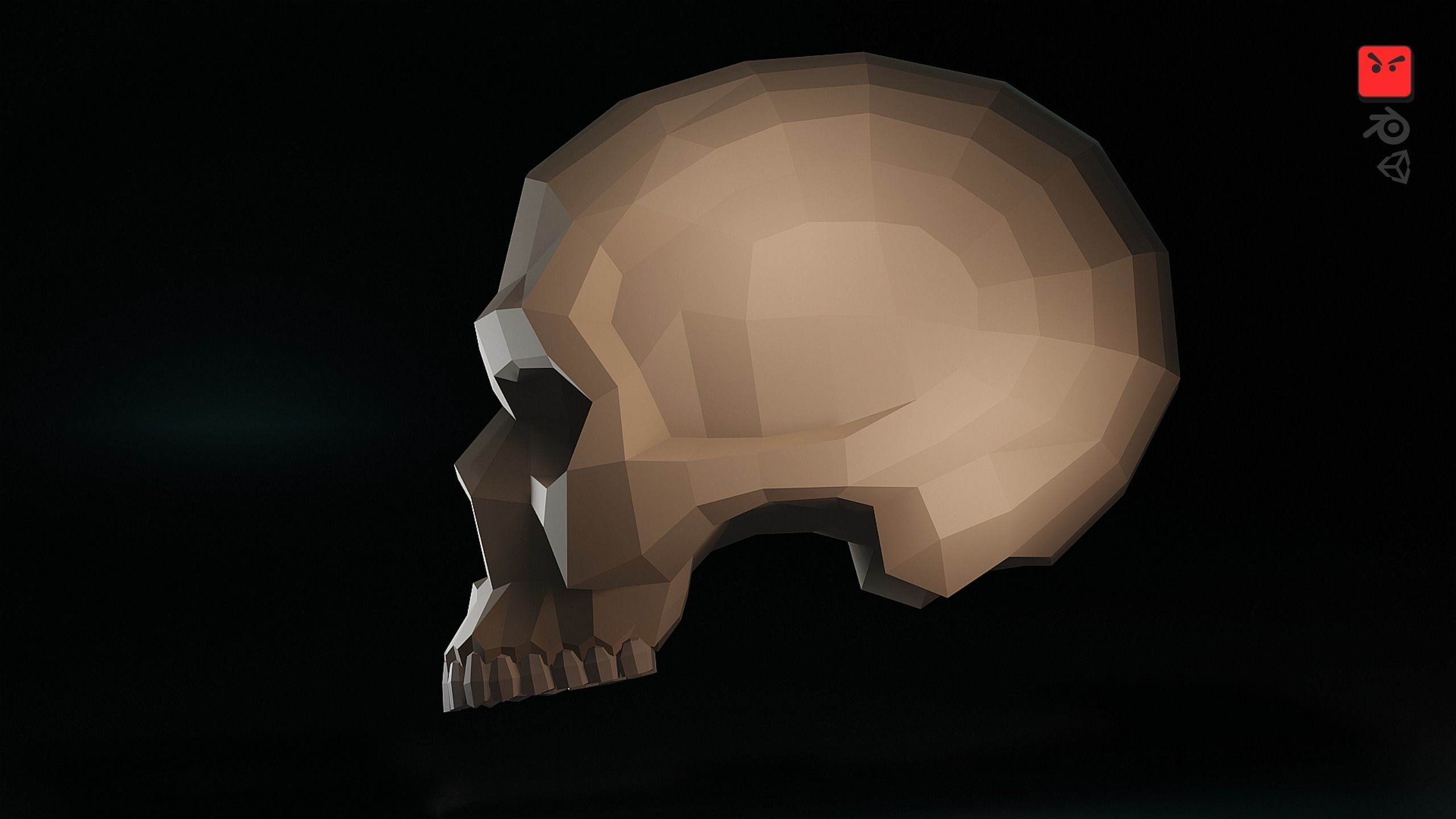 Human Skull Low-poly 3D model_8