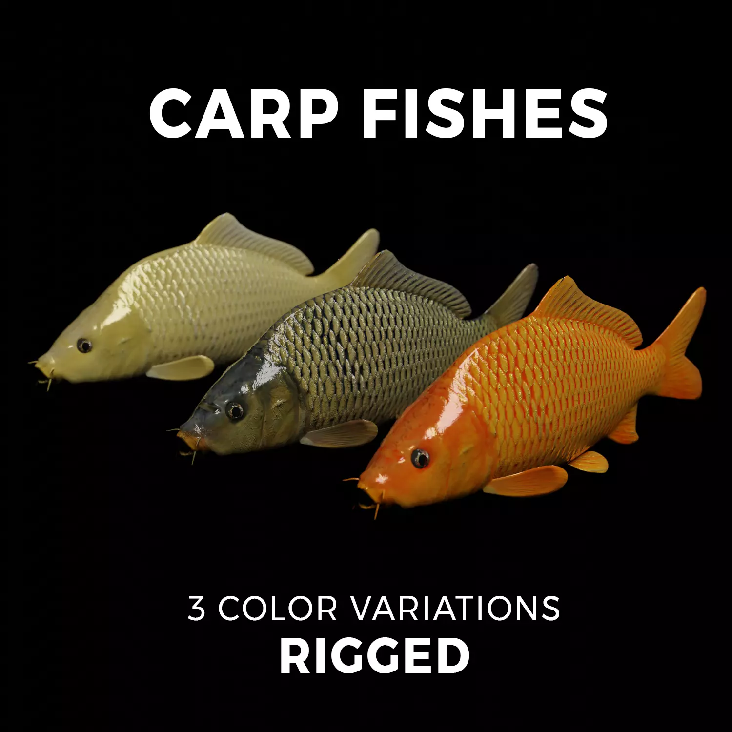 Carp fish Low-poly 3D model