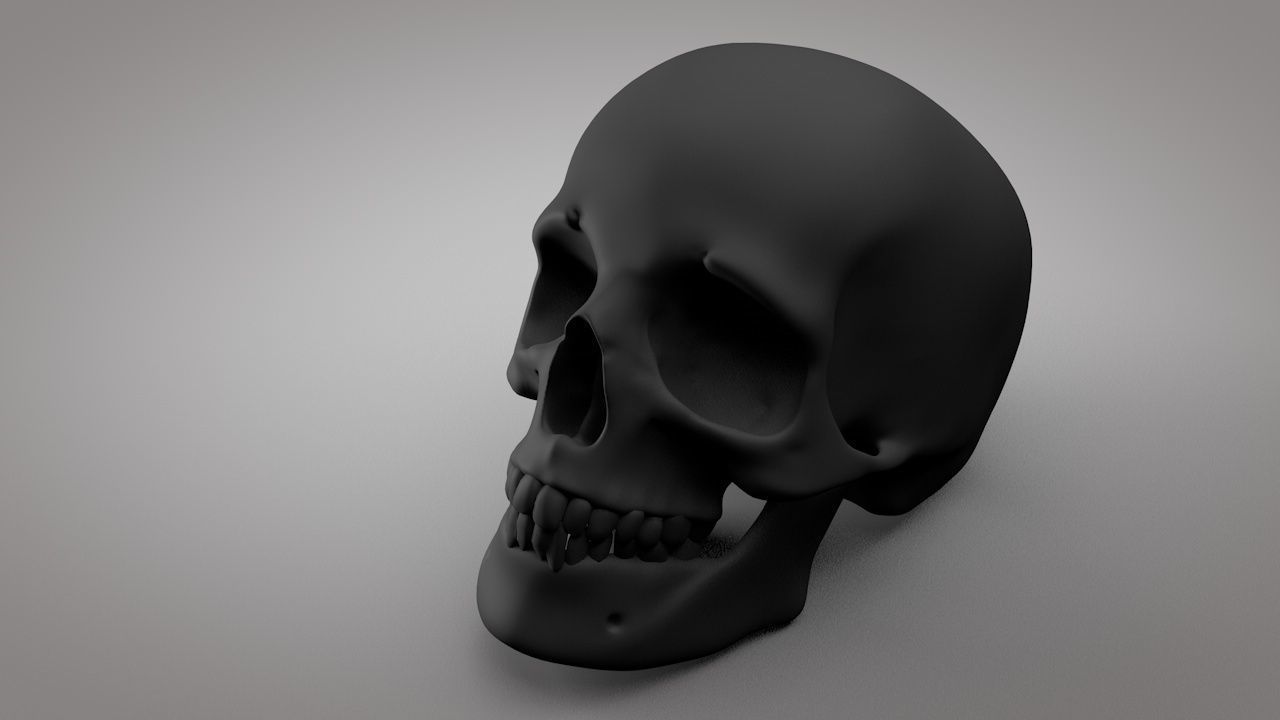 Human Skull  Low-poly 3D model_1
