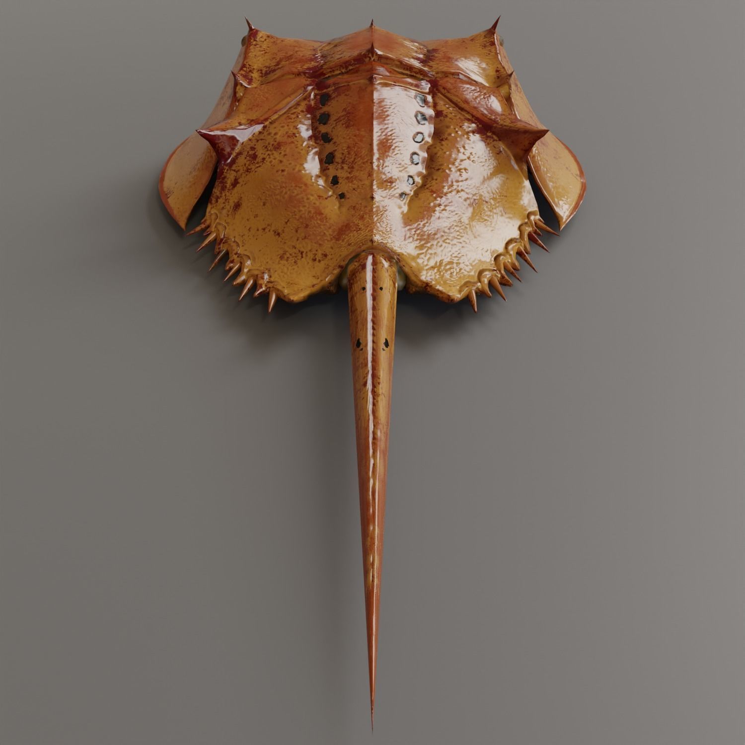 Horseshoe Crab Red Low-poly 3D model_6