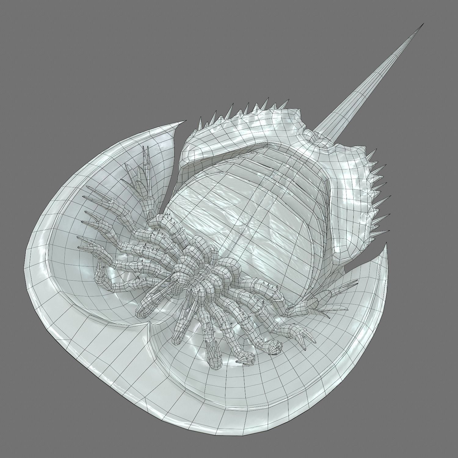 Horseshoe Crab Red Low-poly 3D model_17
