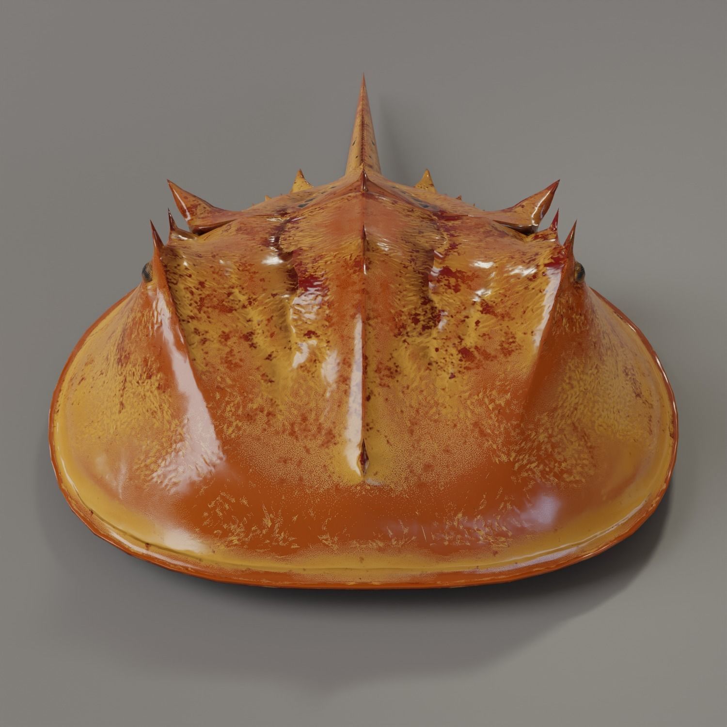 Horseshoe Crab Red Low-poly 3D model_5