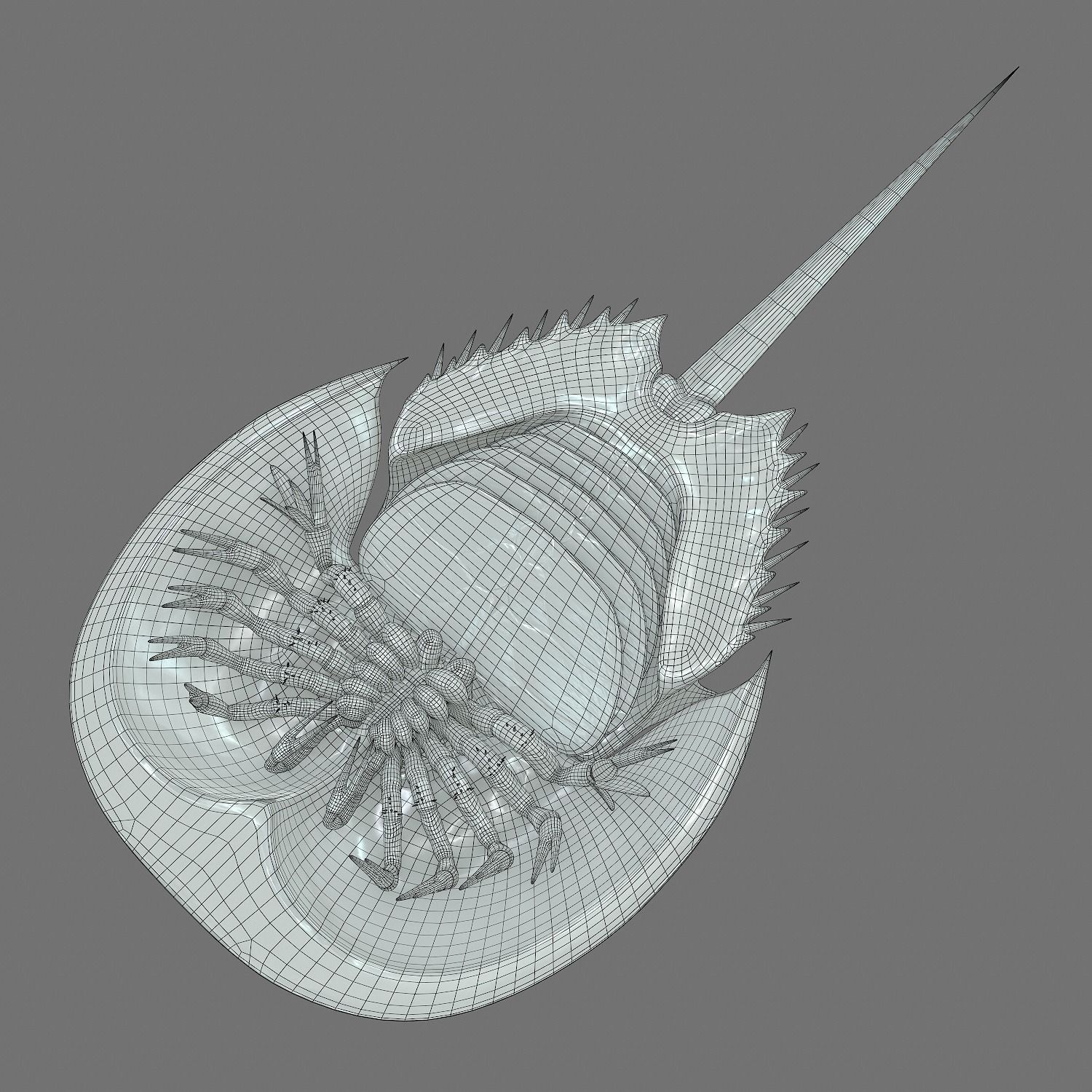Horseshoe Crab Red Low-poly 3D model_20