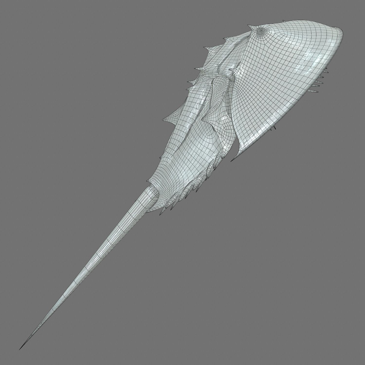 Horseshoe Crab Red Low-poly 3D model_21
