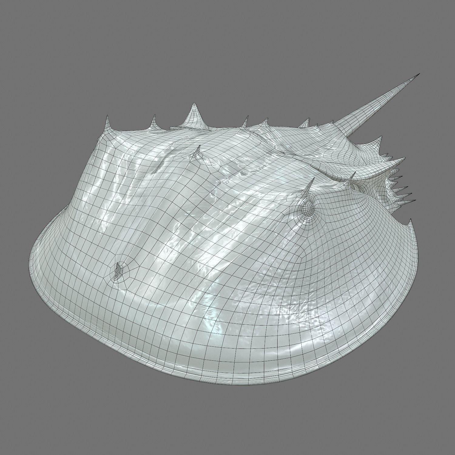 Horseshoe Crab Red Low-poly 3D model_22