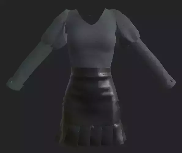 Female outfit Skirt and Shirt