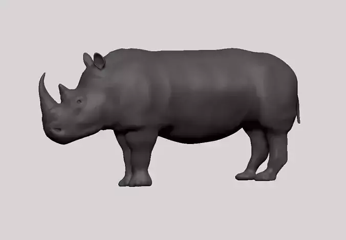 Rhino model rhinoceros